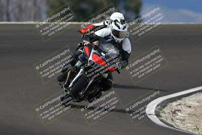 media/Mar-31-2025-Lets Ride (Mon) [[84f5dbc6bd]]/C Group/1140am (Turn 2)/
